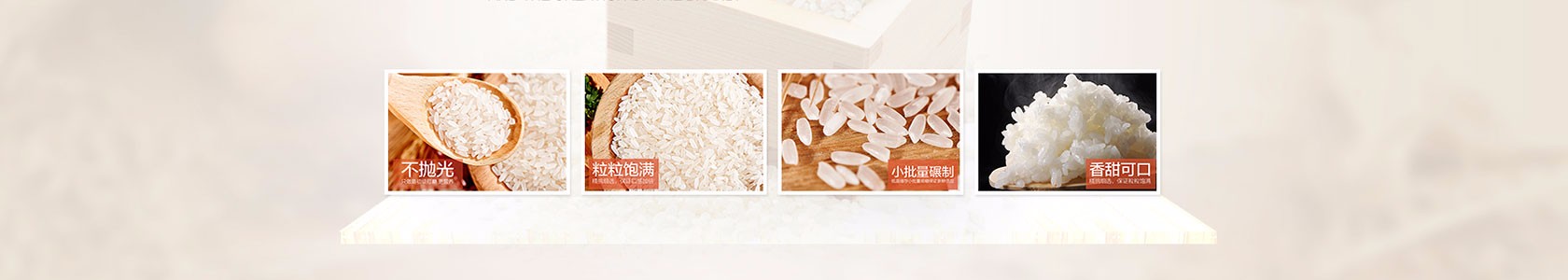 长春市星辰供应链有限公司